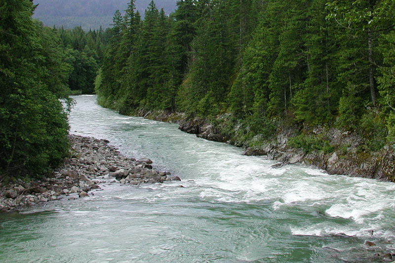 February 2025 - DEXTER Report - Uncertainty Comes at a Cost