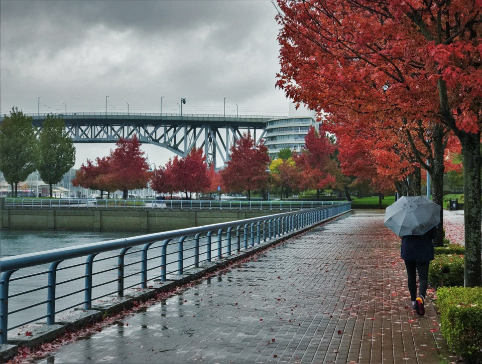 October 2024 DEXTER Report - Are Buyers Back?