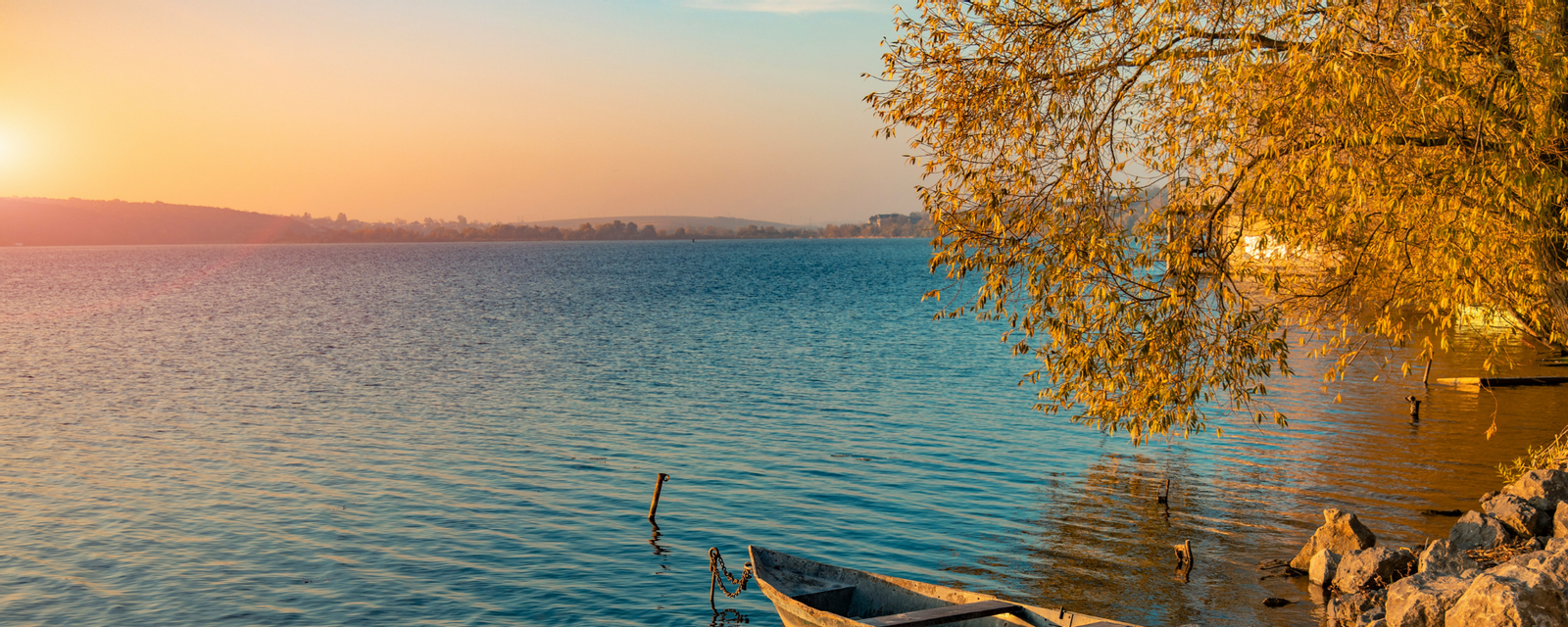 Let Autumn Sales Begin Now!