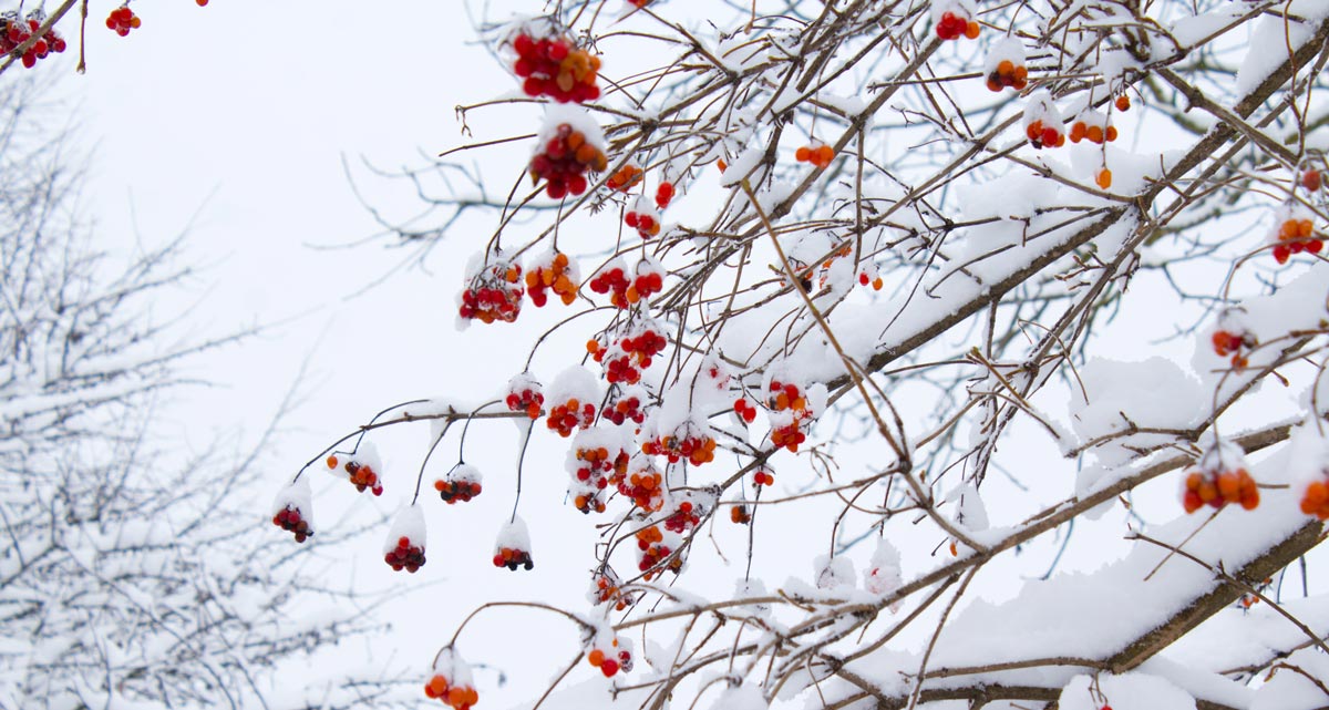 November 2024 - DEXTER REPORT - Getting to Average?