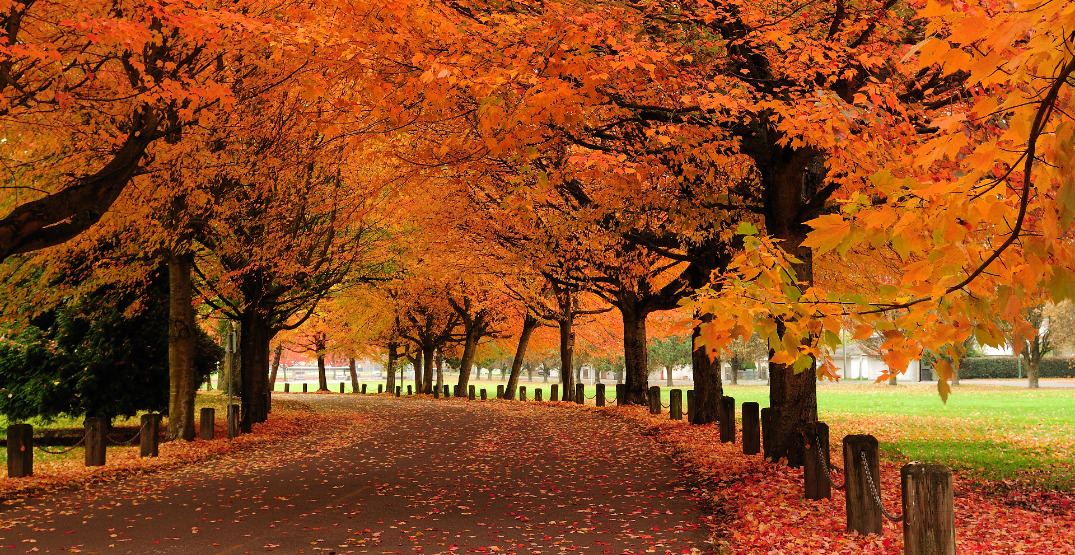 October 2023- DEXTER REPORT - Median prices reveal where deals are emerging